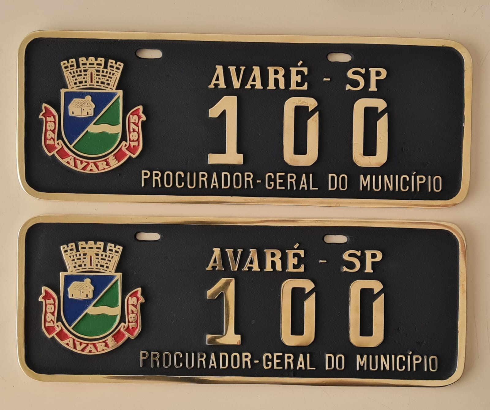 Placa de Carro em Bronze Fundido